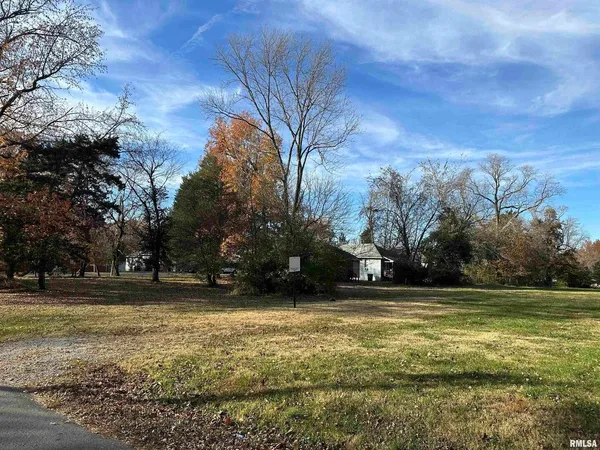 a view of a yard with a fountain