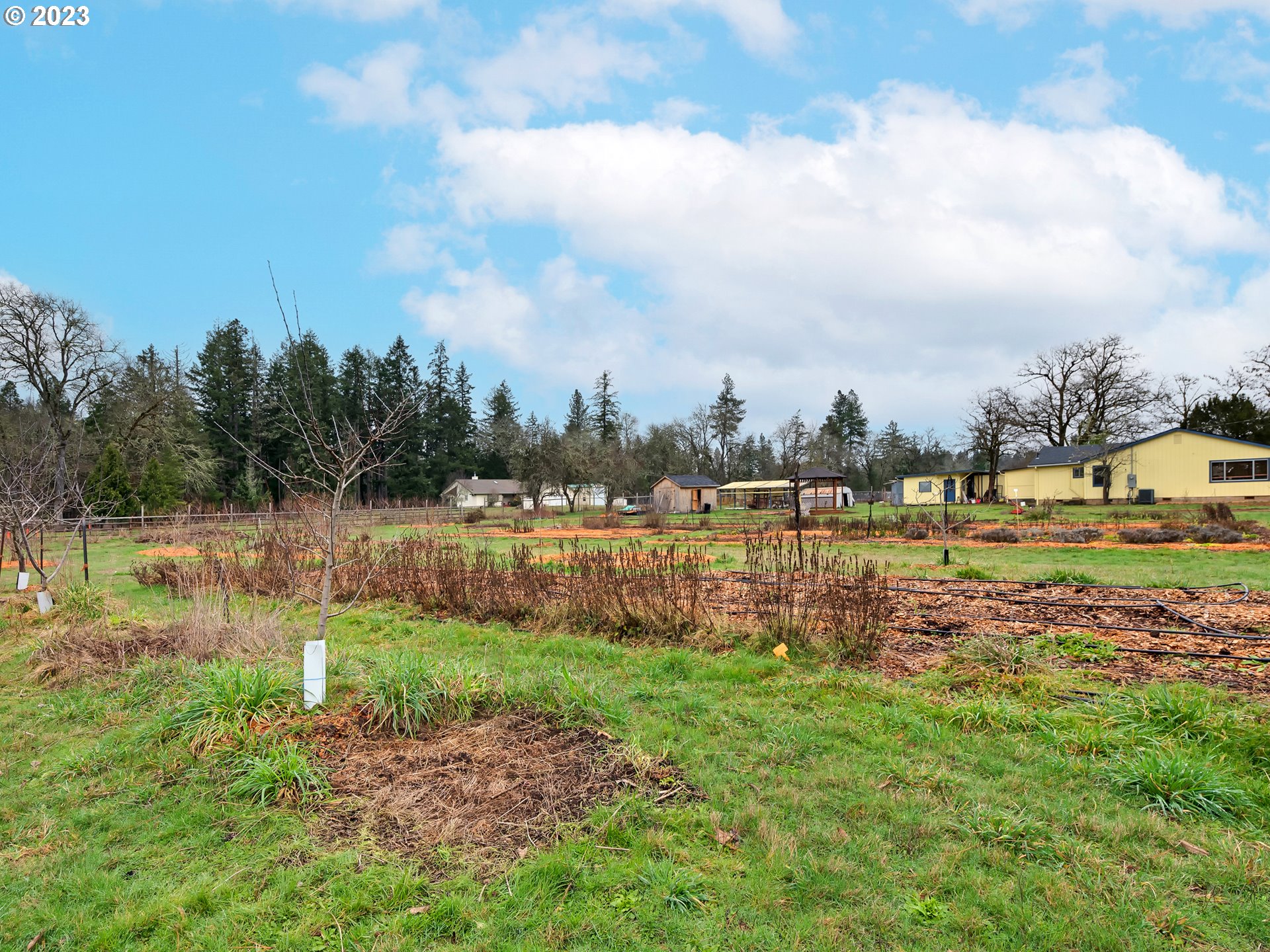 25987 Jeans Road Veneta, OR 97487 - Photo 23 of 32 Gallery Image 23