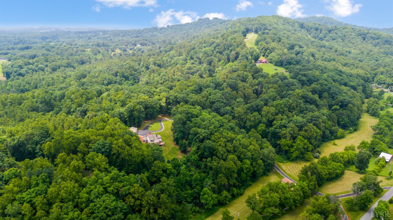 5271 Old Cifax Road Forest, VA 24551 - Photo 89 of 98 Gallery Image 89