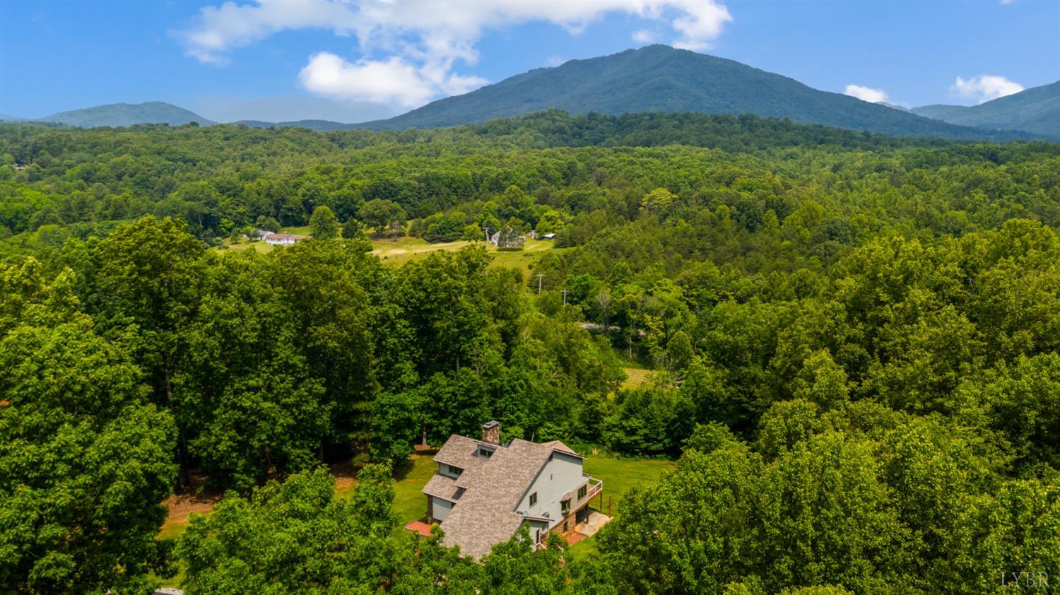 5271 Old Cifax Road Forest, VA 24551 - Photo 94 of 98 Gallery Image 94