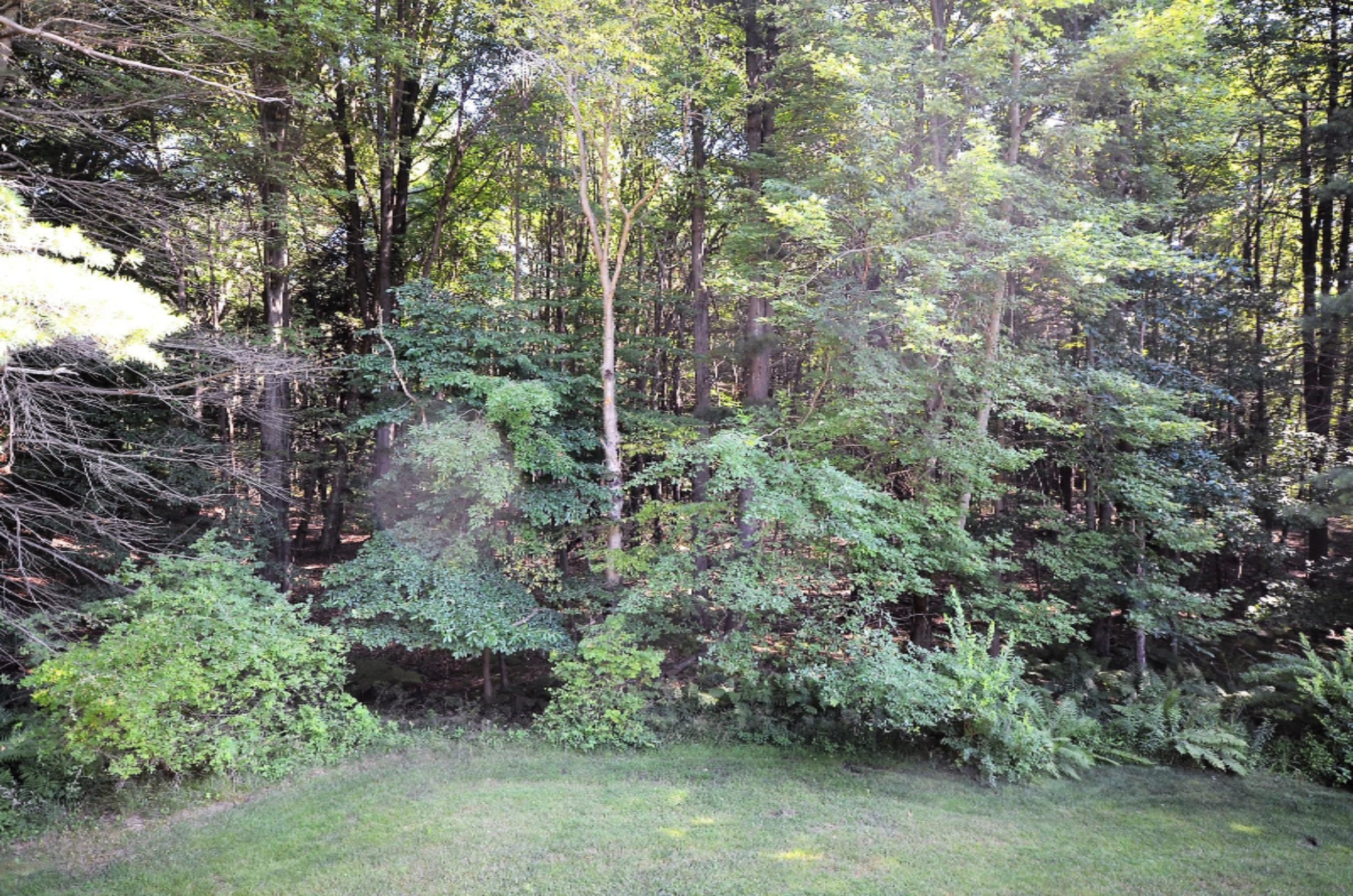 17860 Bramer Lane Spring Lake, MI 49456 - Photo 28 of 29 17860 Bramer lane
