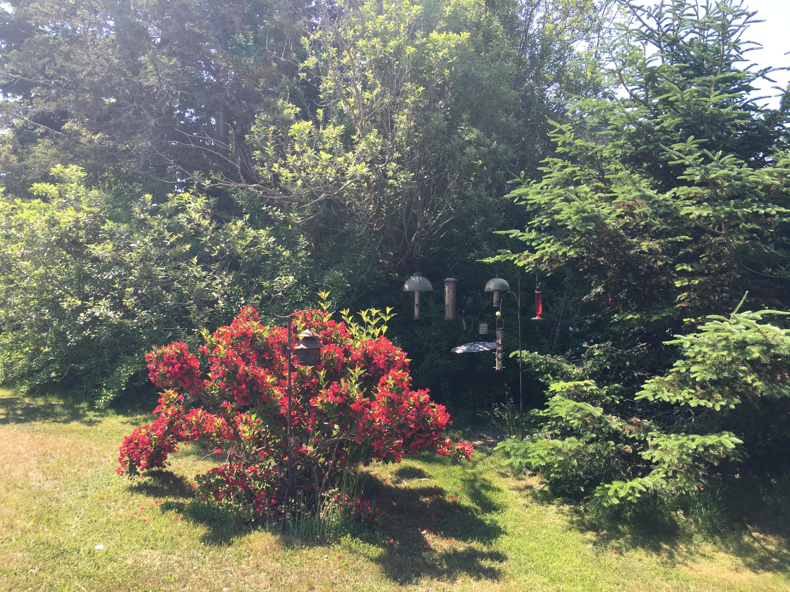 325 Turkey Cove Road St. George, ME 04860 - Photo 24 of 26 IMG_3858