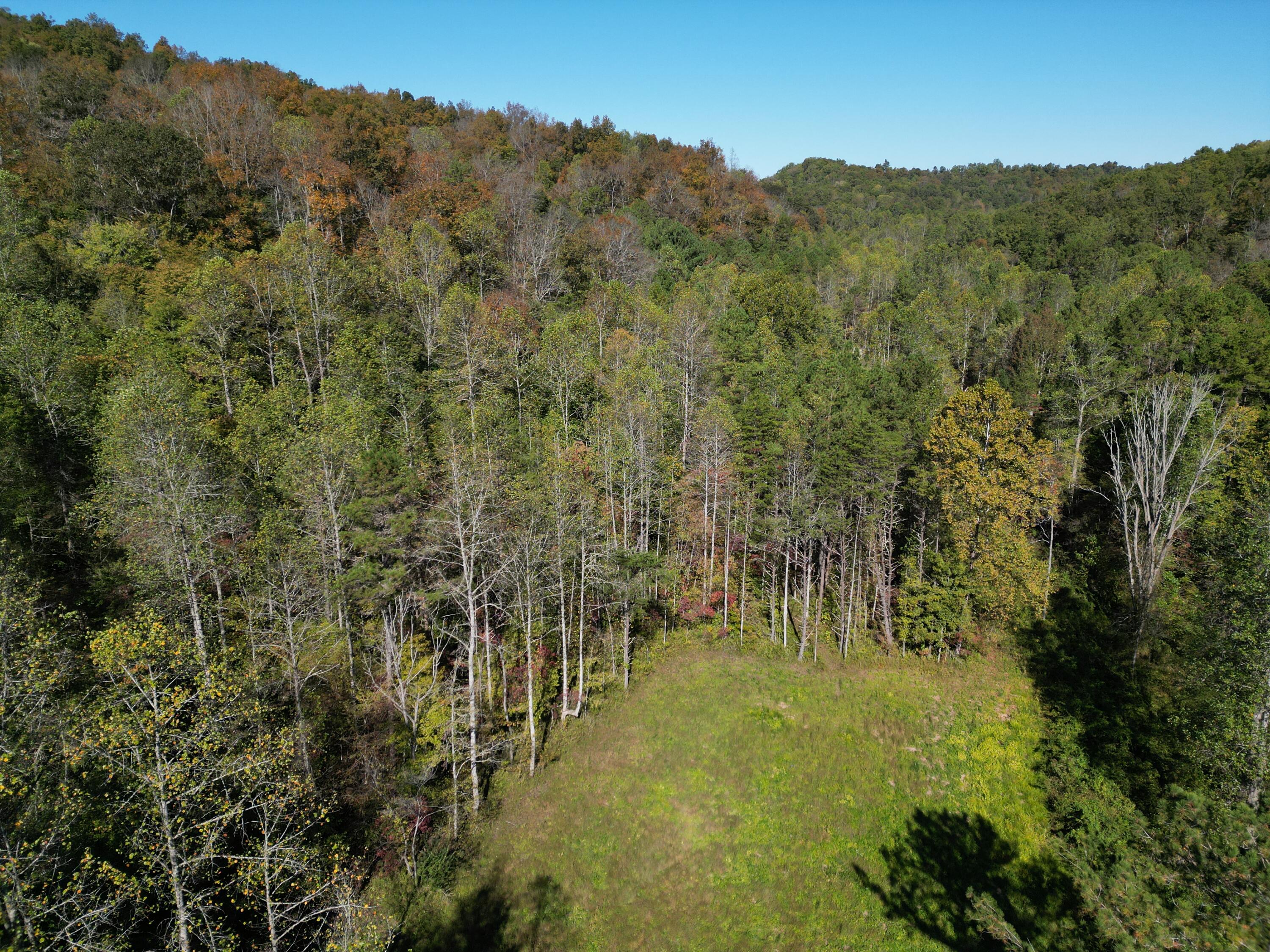 9999 Reed Branch Road Manchester, KY 40962 - Photo 36 of 48 DJI_0811
