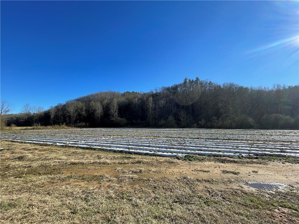 757 Sliding Rock Road Pickens, SC 29671 - Photo 25 of 50