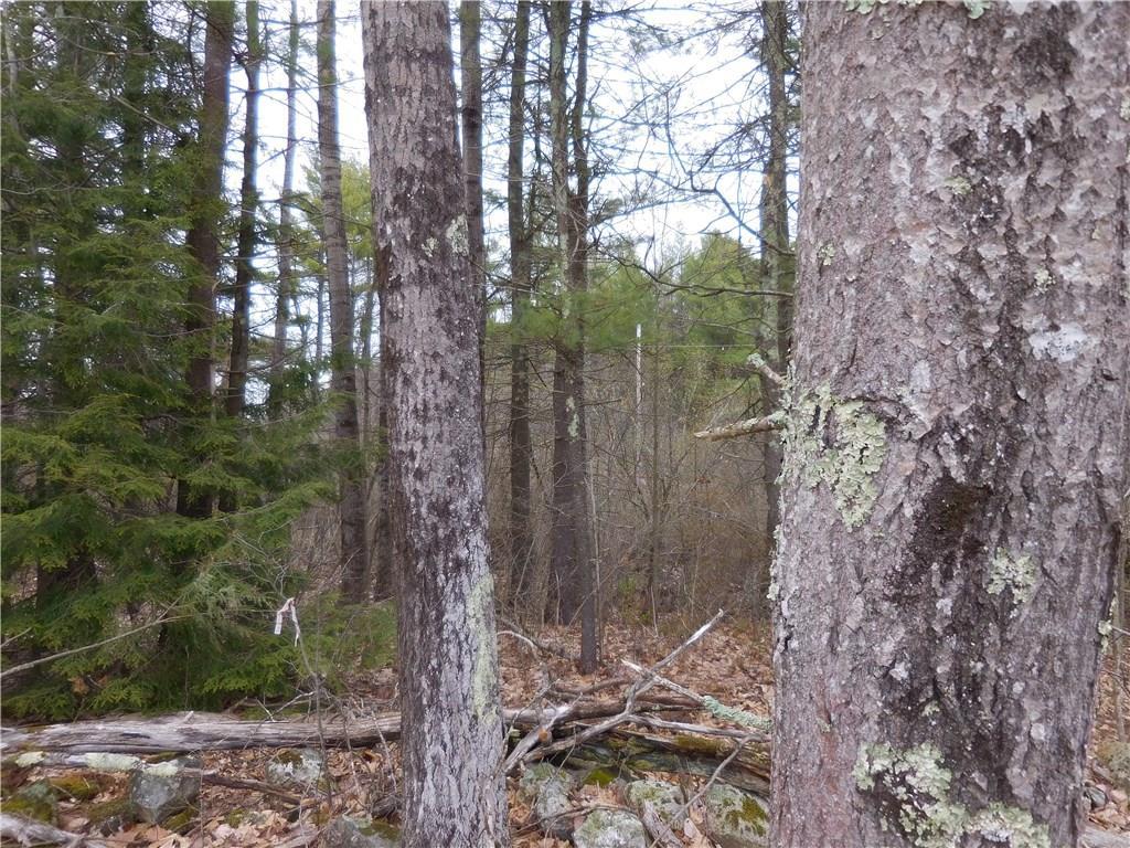 21 Keene Road Windham, ME 04062 - Photo 6 of 13 Photo