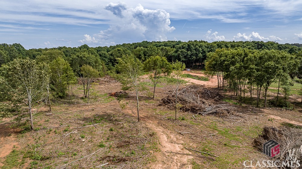 Lot 1 Coldwater Road Dewy Rose, GA 30634 - Photo 10 of 21