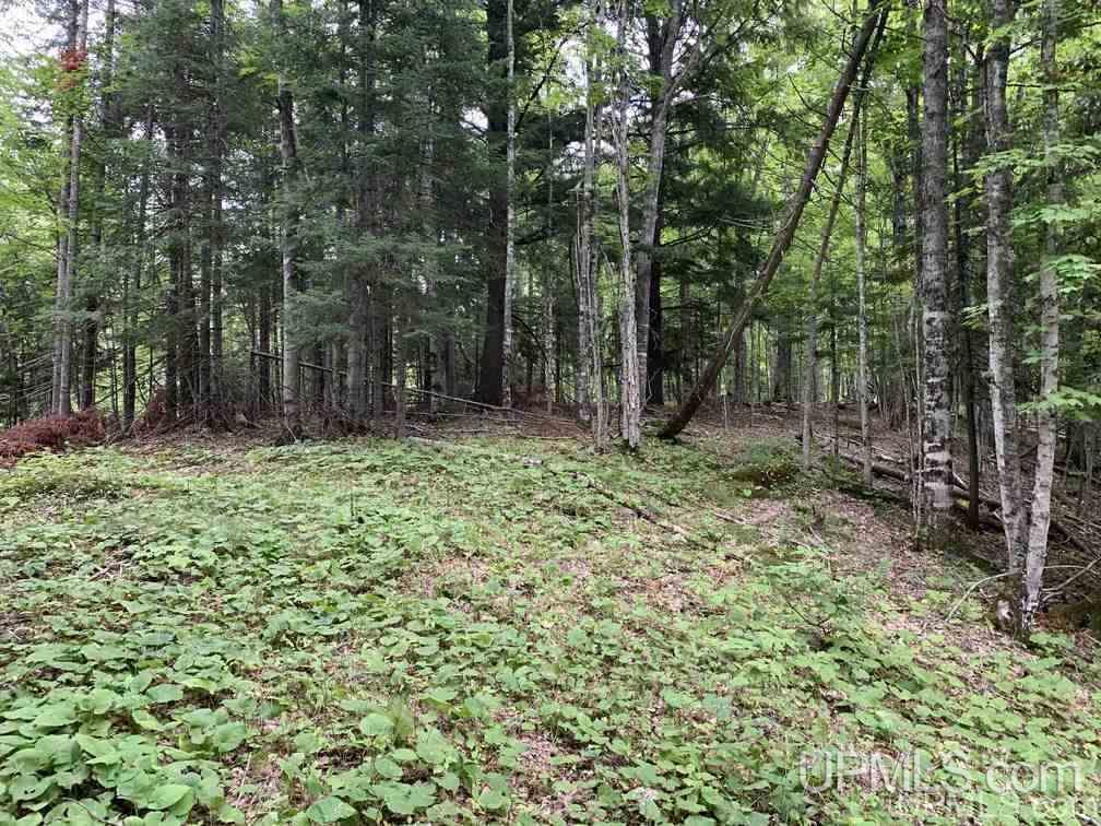 Lot 1 Bayview Road Lanse, MI 49946 - Photo 26 of 27