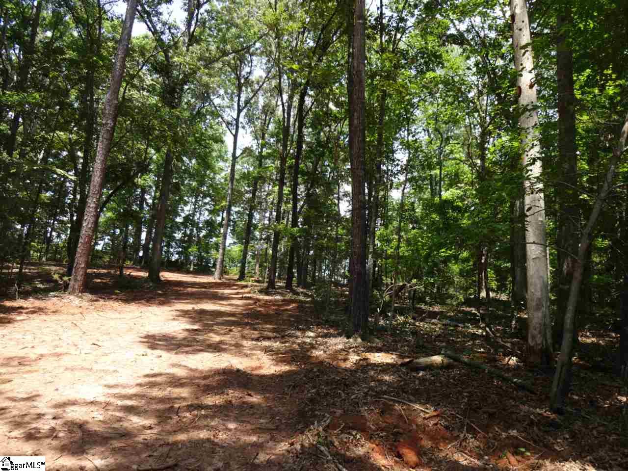 Airport Road Liberty, SC 29657 - Photo 2 of 22 Gallery Image 2
