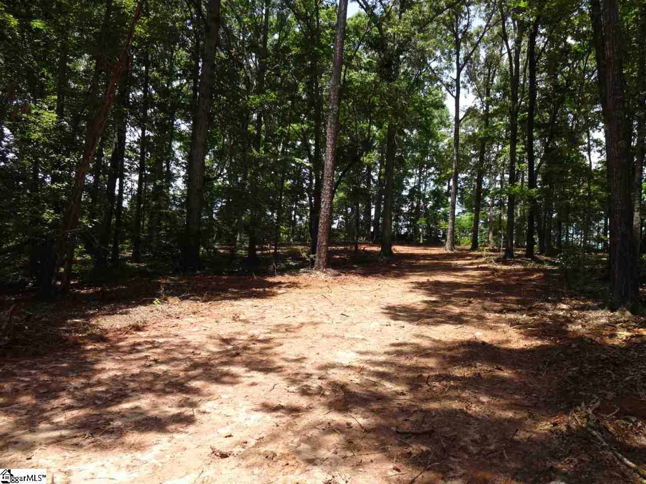 Airport Road Liberty, SC 29657 - Photo 3 of 22 Gallery Image 3