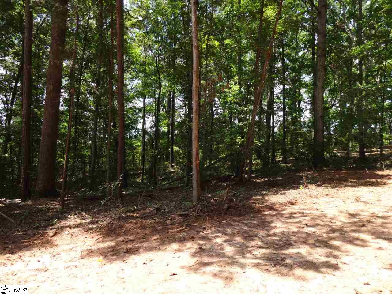 Airport Road Liberty, SC 29657 - Photo 4 of 22 Gallery Image 4