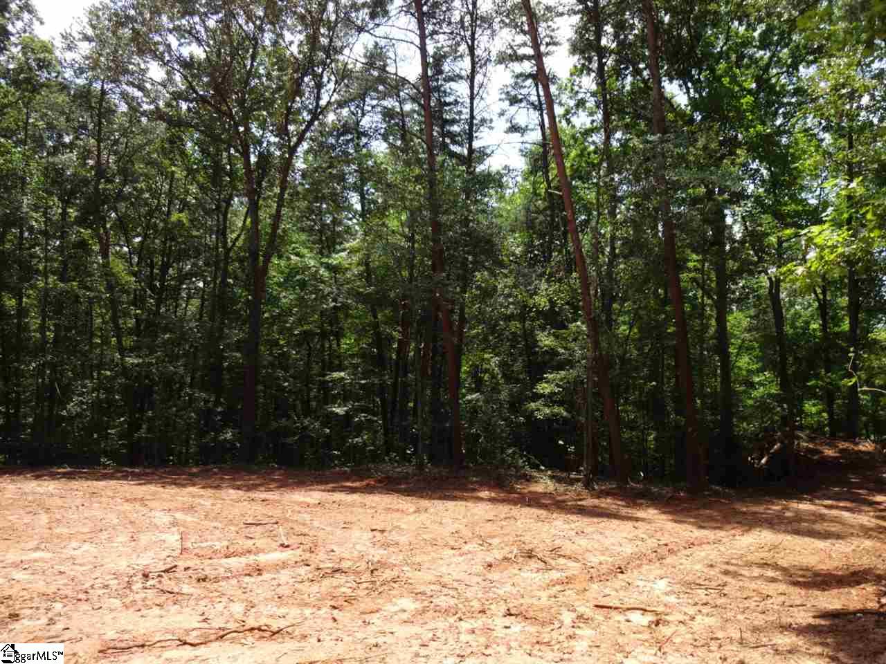 Airport Road Liberty, SC 29657 - Photo 5 of 22 Gallery Image 5