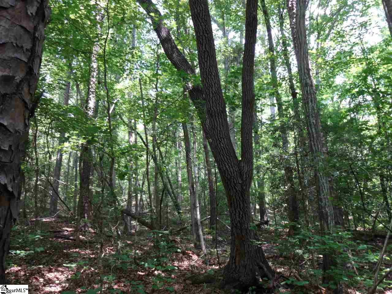 Airport Road Liberty, SC 29657 - Photo 6 of 22 Gallery Image 6