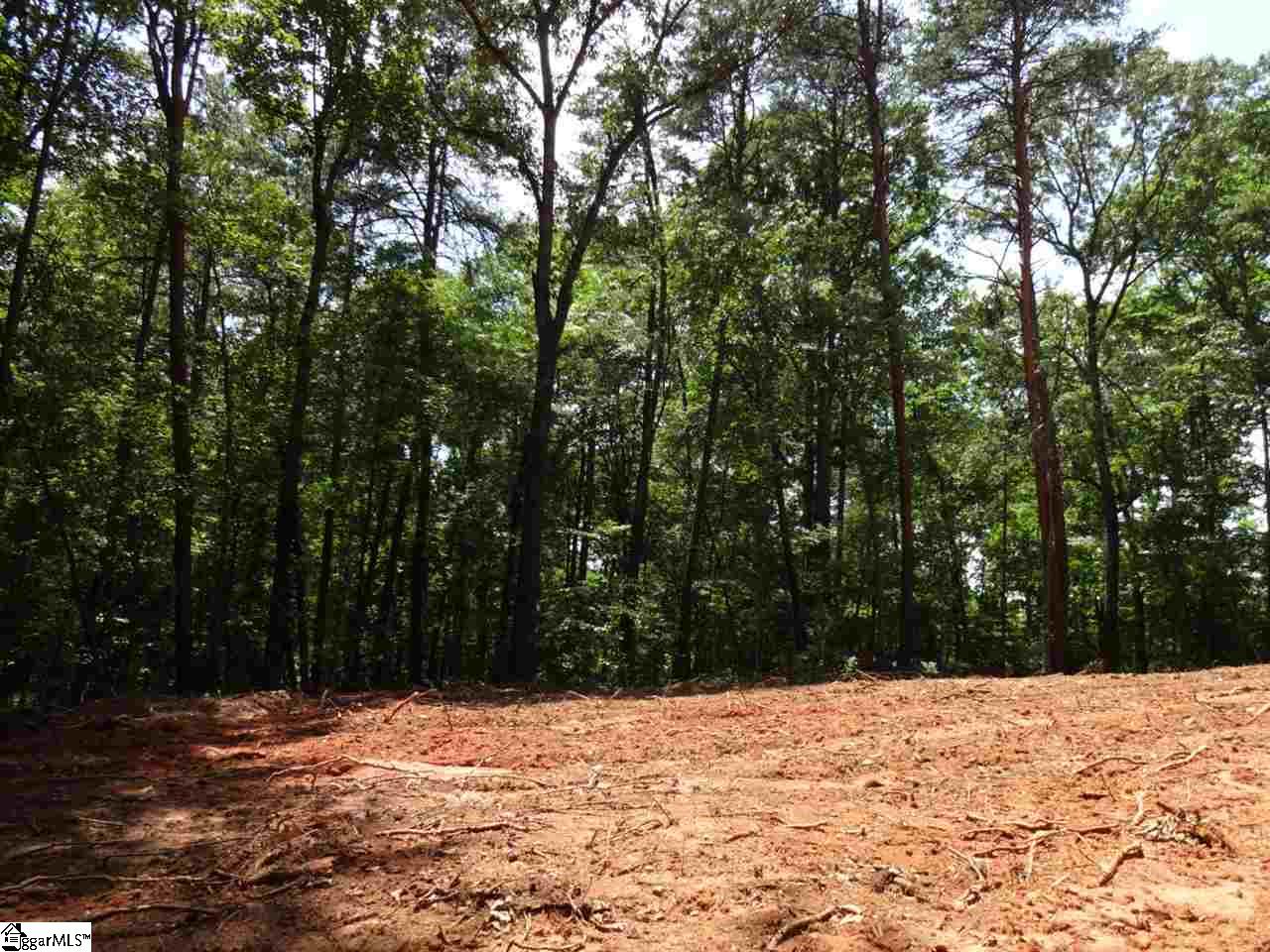 Airport Road Liberty, SC 29657 - Photo 7 of 22 Gallery Image 7