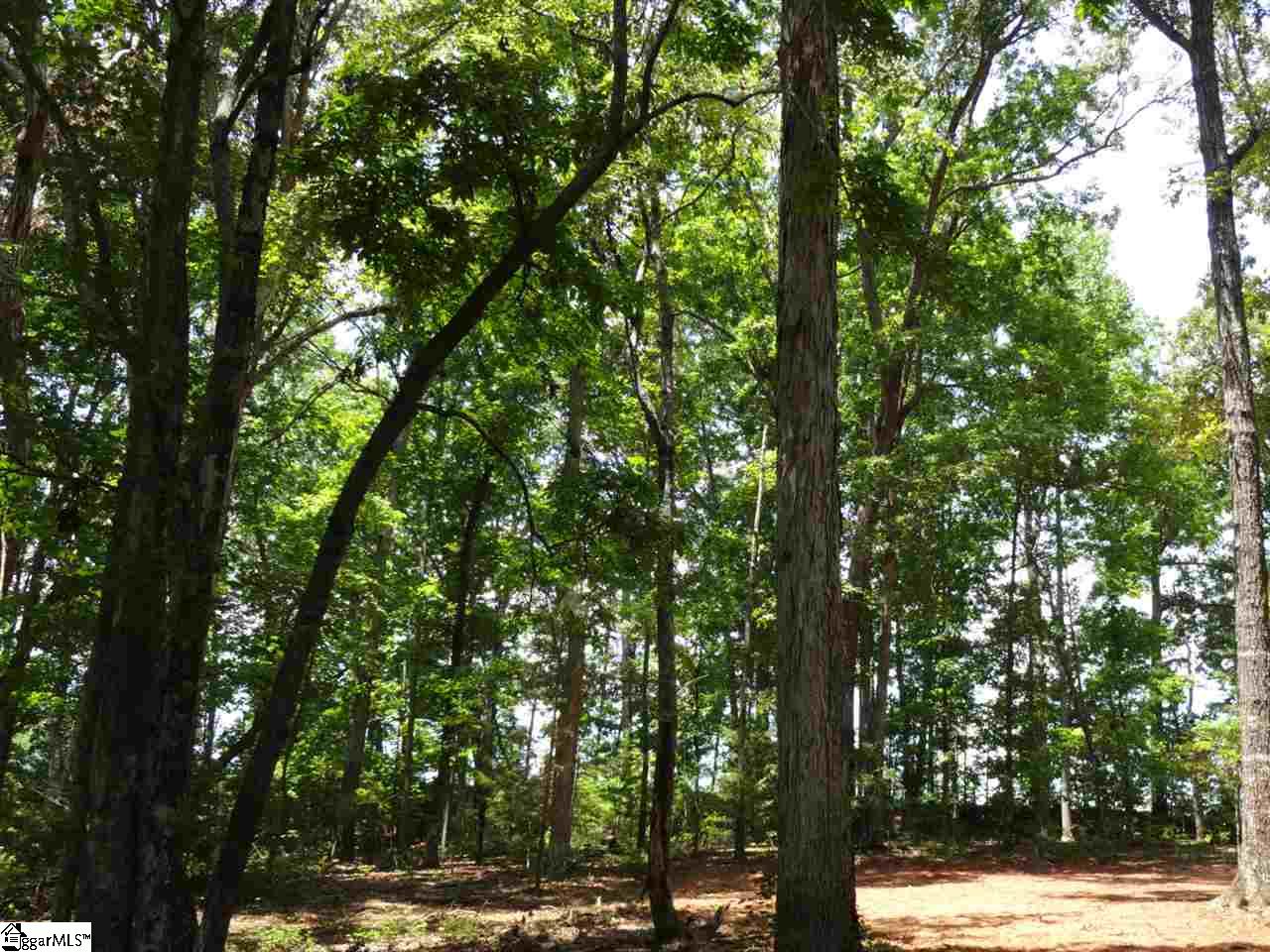 Airport Road Liberty, SC 29657 - Photo 8 of 22 Gallery Image 8