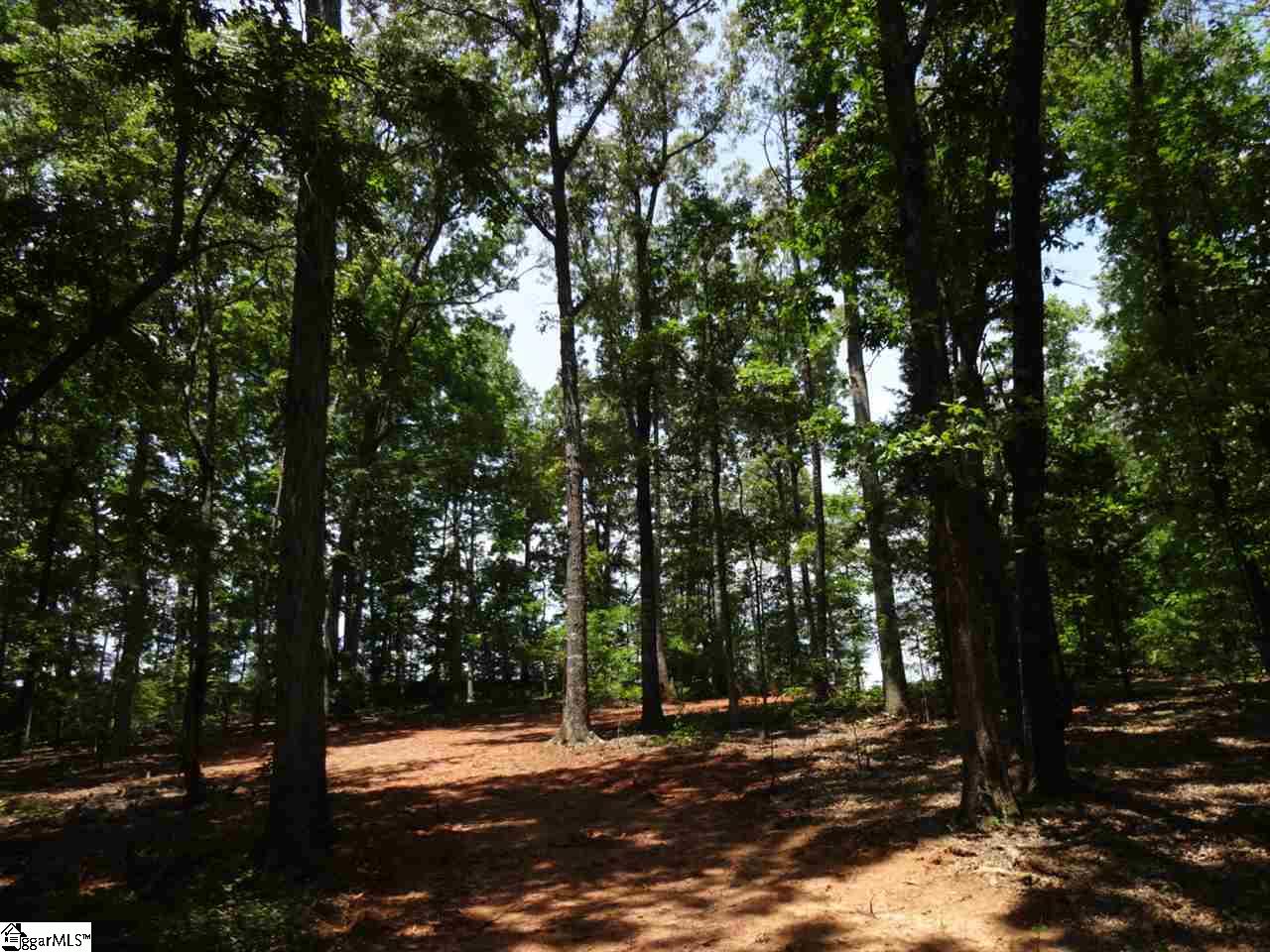 Airport Road Liberty, SC 29657 - Photo 10 of 22 Gallery Image 10