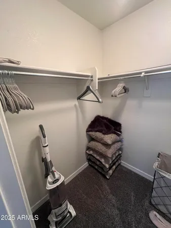 a view of storage and utility room with racks on the wall
