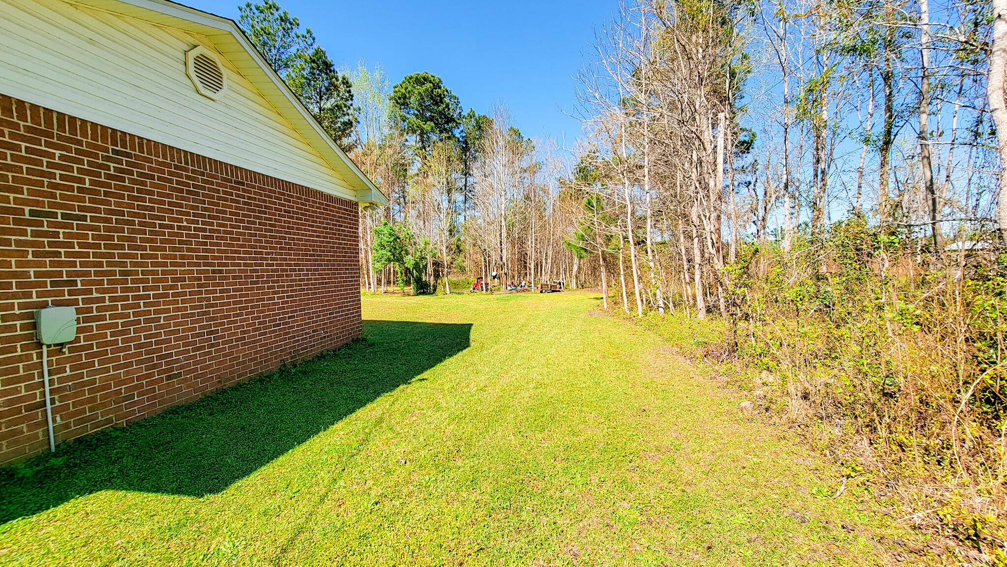 579 Dopson Road Islandton, SC 29929 - Photo 4 of 40 20220325_113026