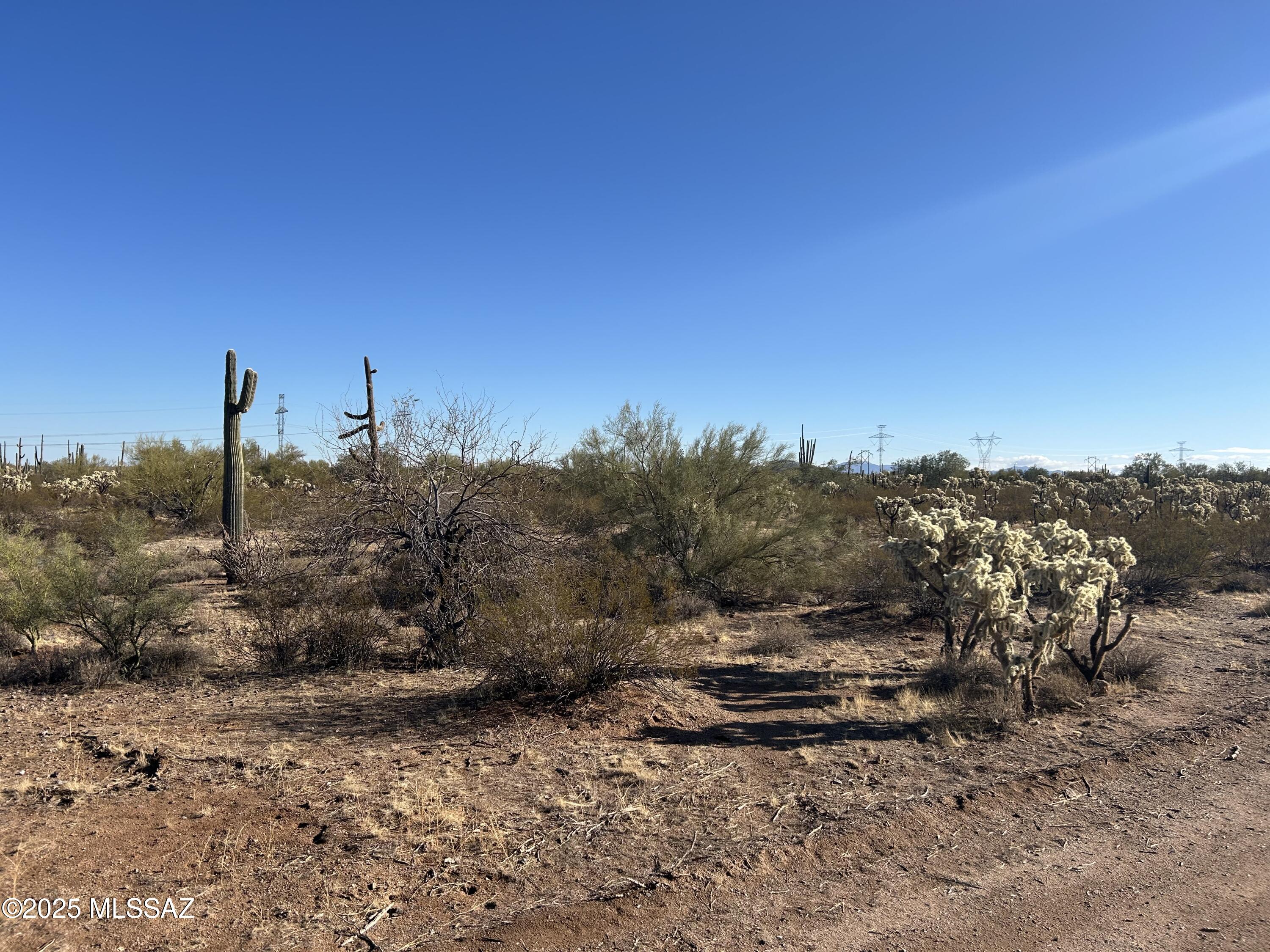 X South Cattle Tank Road Marana, AZ 85658 - Photo 2 of 8