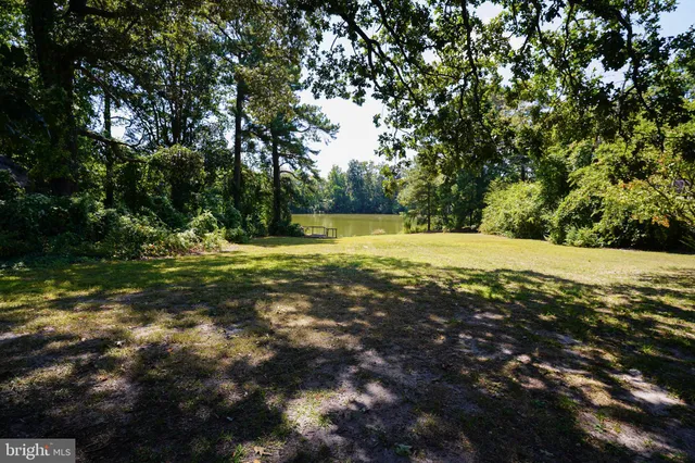 a view of a field with trees