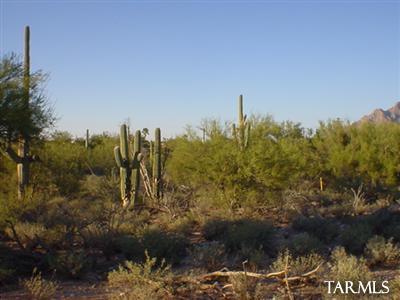 300 East Rudasill Road, Unit BLOCK Tucson, AZ 85704 - Photo 6 of 8