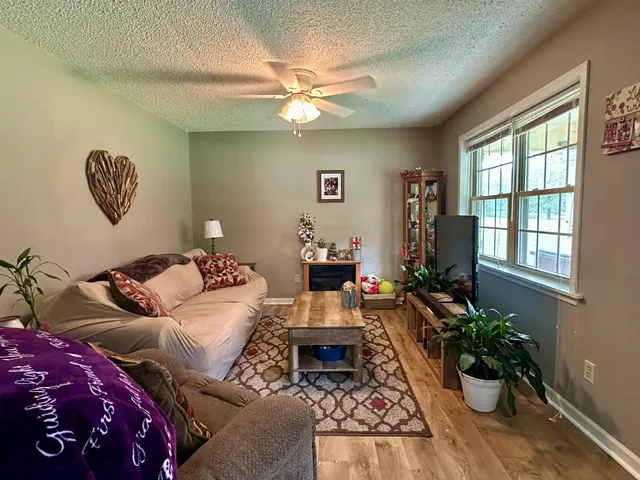 a living room with furniture flowerpot and a window