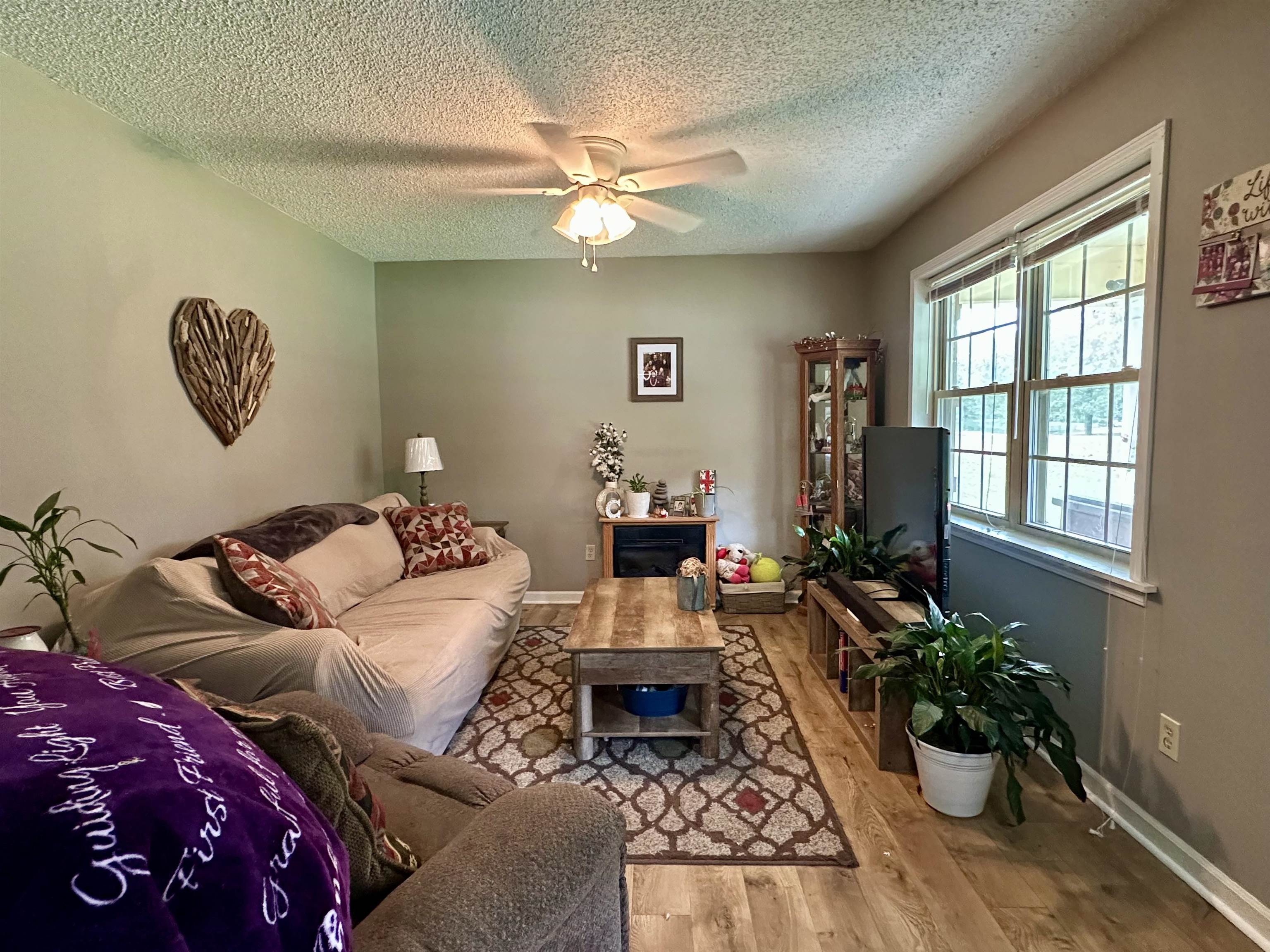 320 Clayton Road Finger, TN 38334 - Photo 3 of 16 a living room with furniture flowerpot and a window