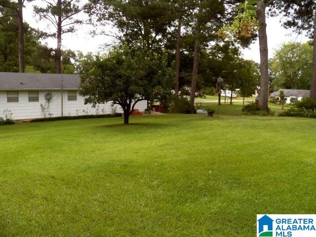 2710 Harts Ferry Road Ohatchee, AL 36271 - Photo 24 of 41