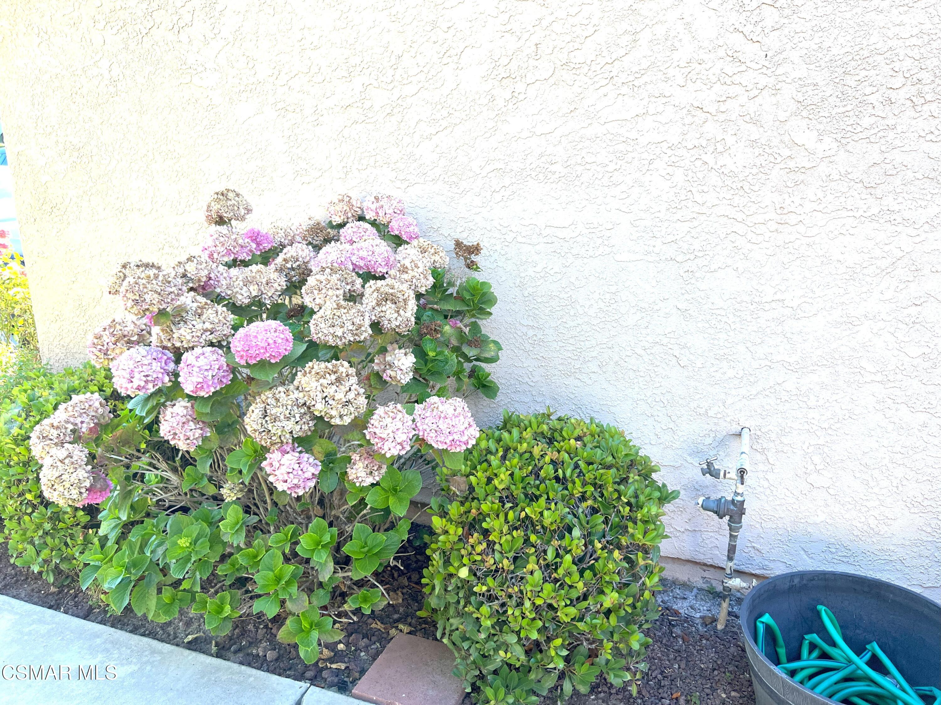 581 Fairfield Road Simi Valley, CA 93065 - Photo 2 of 24 581 Fairfield - Yard 3