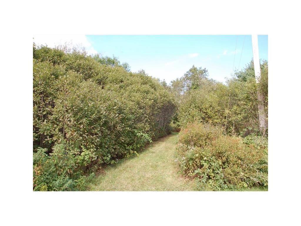 0 Johnson Point Road Orrs Island, ME 04066 - Photo 10 of 17 Established trail