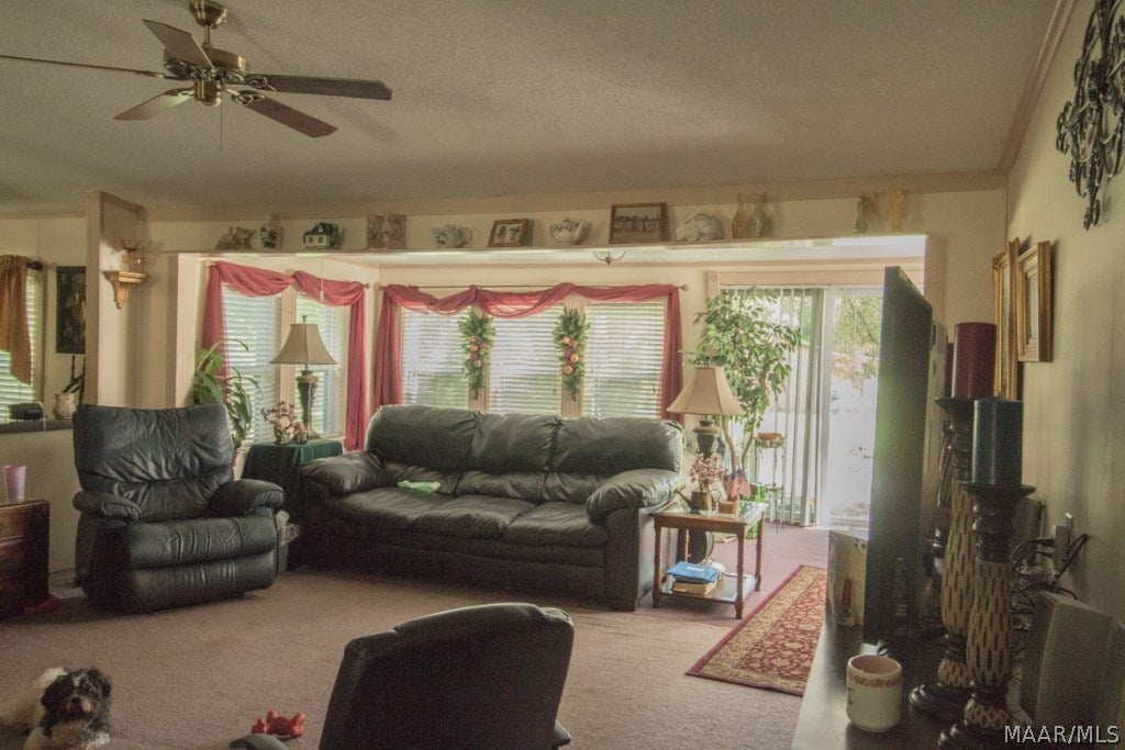 3911 County Road 10 Samson, AL 36477 - Photo 13 of 31 Gallery Image 13