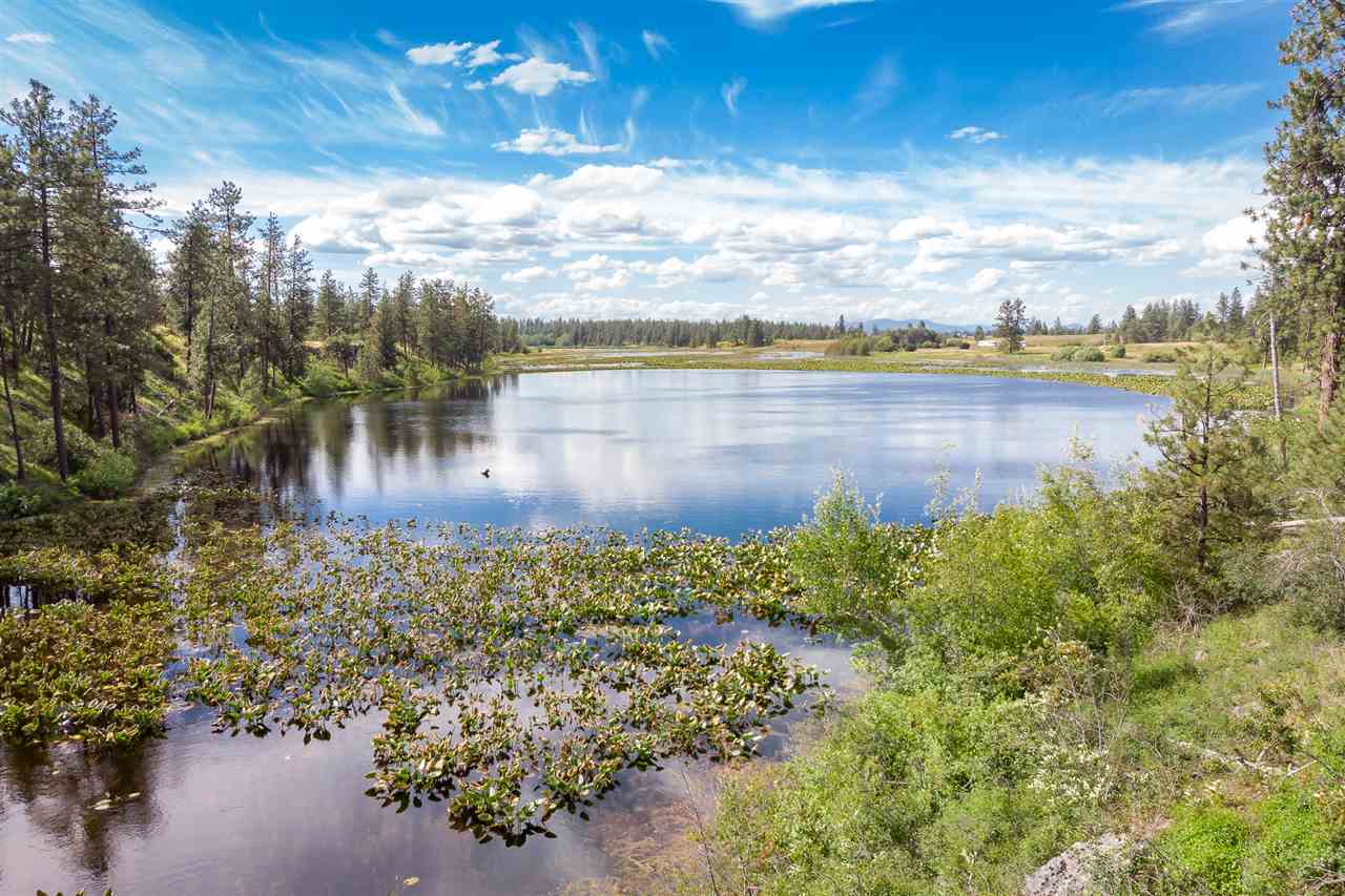 24000 West Kitt Road, Unit LOT 1 Reardan, WA 99029 - Photo 12 of 20