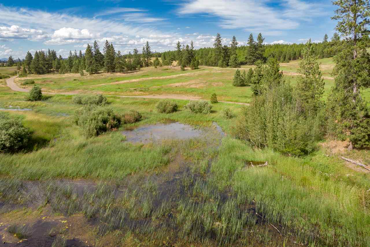 24000 West Kitt Road, Unit LOT 1 Reardan, WA 99029 - Photo 13 of 20