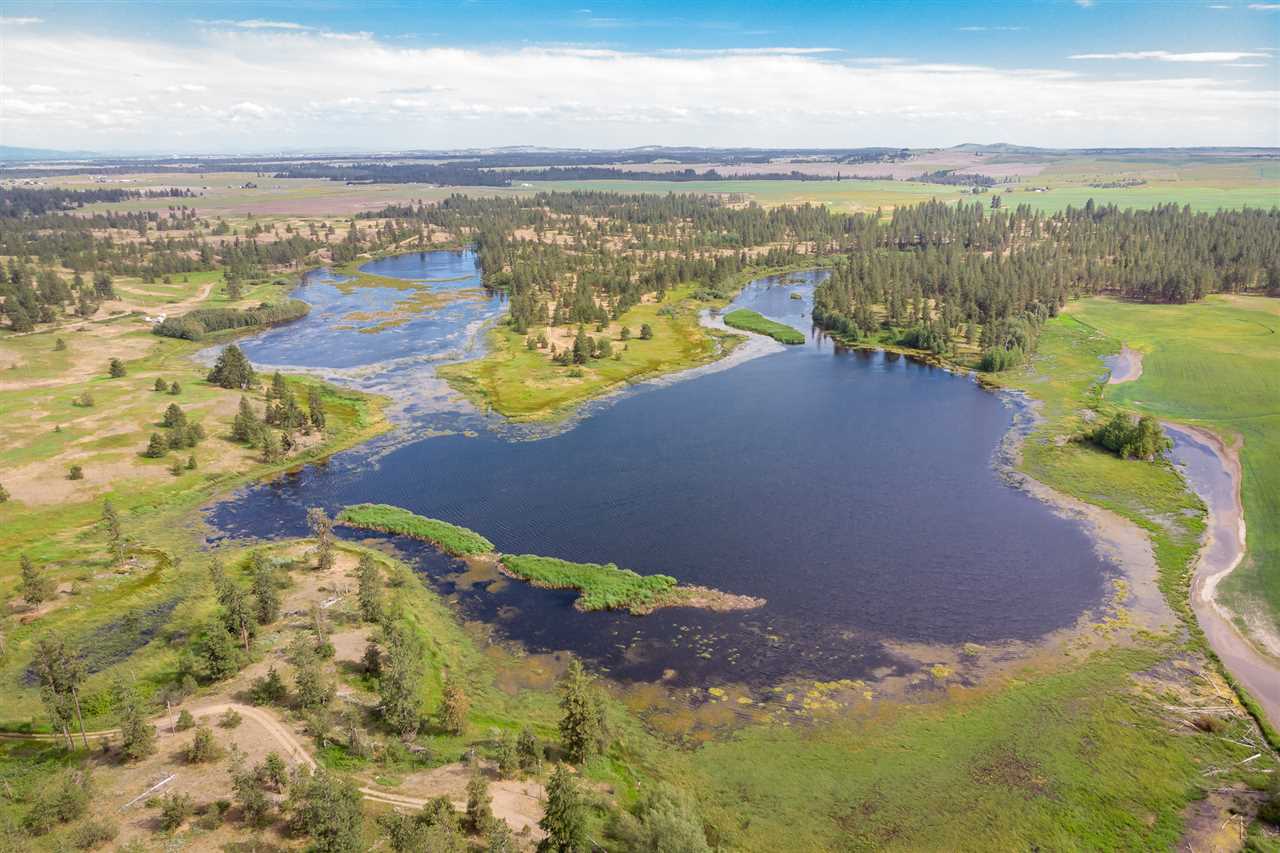 24000 West Kitt Road, Unit LOT 1 Reardan, WA 99029 - Photo 19 of 20