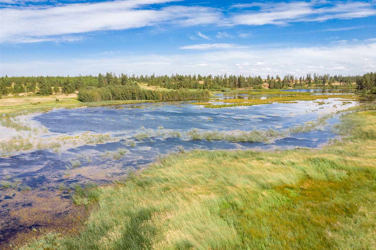 24000 West Kitt Road, Unit LOT 1 Reardan, WA 99029 - Photo 8 of 20