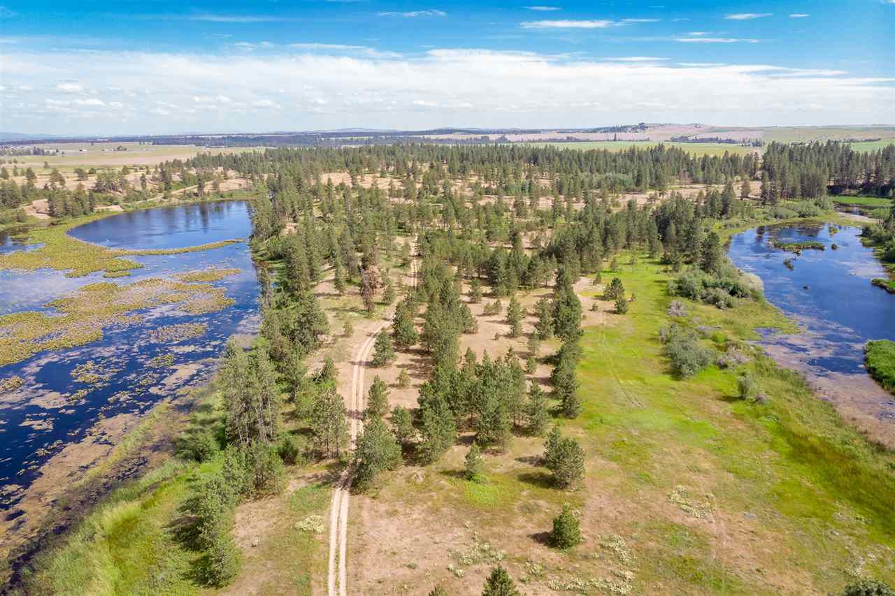 24000 West Kitt Road, Unit LOT 1 Reardan, WA 99029 - Photo 9 of 20