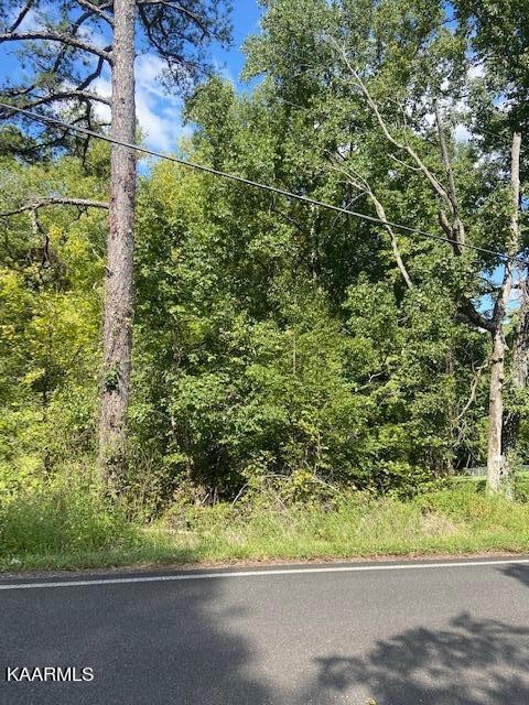 1 County Road 675 Riceville, TN 37370 - Photo 3 of 6 Gallery Image 3