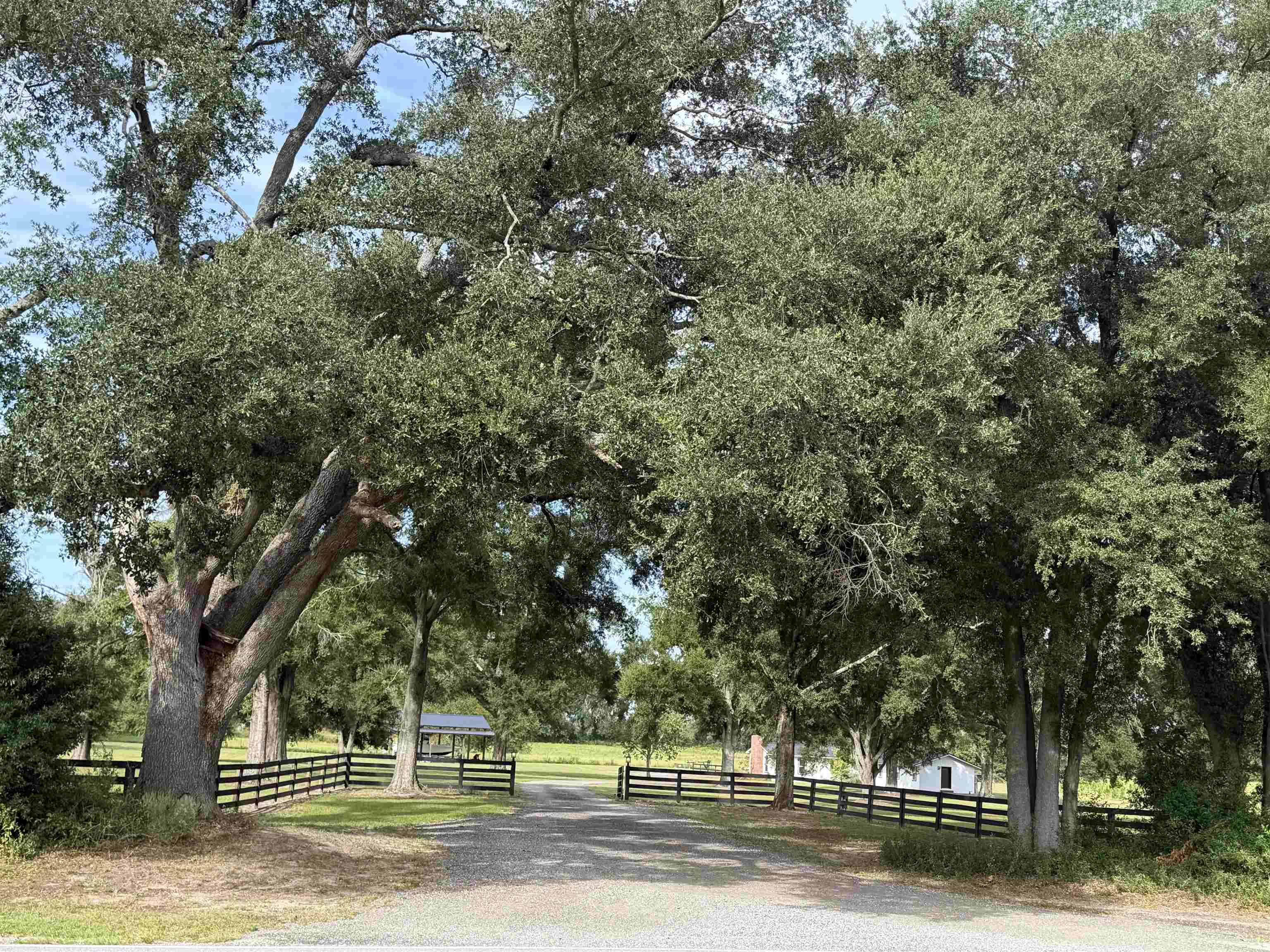 3812 Southeast County 255 Road Madison, FL 32340 - Photo 30 of 31 Gallery Image 30