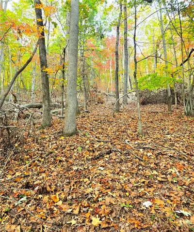 $99,000 | 0 Mertie Road, Millers Creek, NC 28651