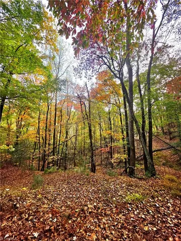 $99,000 | 0 Mertie Road, Millers Creek, NC 28651