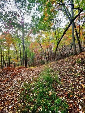 $99,000 | 0 Mertie Road, Millers Creek, NC 28651