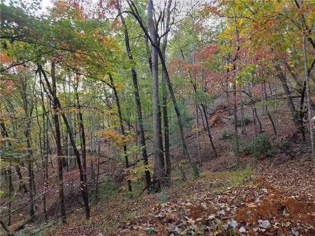 $99,000 | 0 Mertie Road, Millers Creek, NC 28651