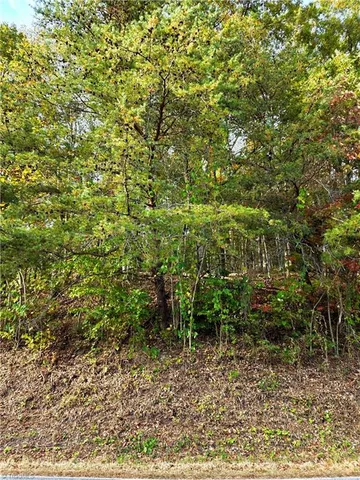 $99,000 | 0 Mertie Road, Millers Creek, NC 28651