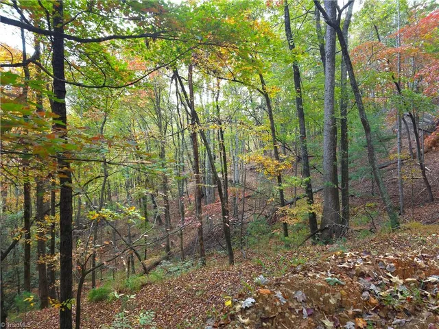 $99,000 | 0 Mertie Road, Millers Creek, NC 28651