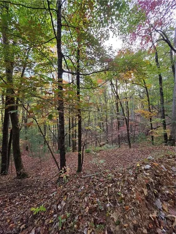 $99,000 | 0 Mertie Road, Millers Creek, NC 28651