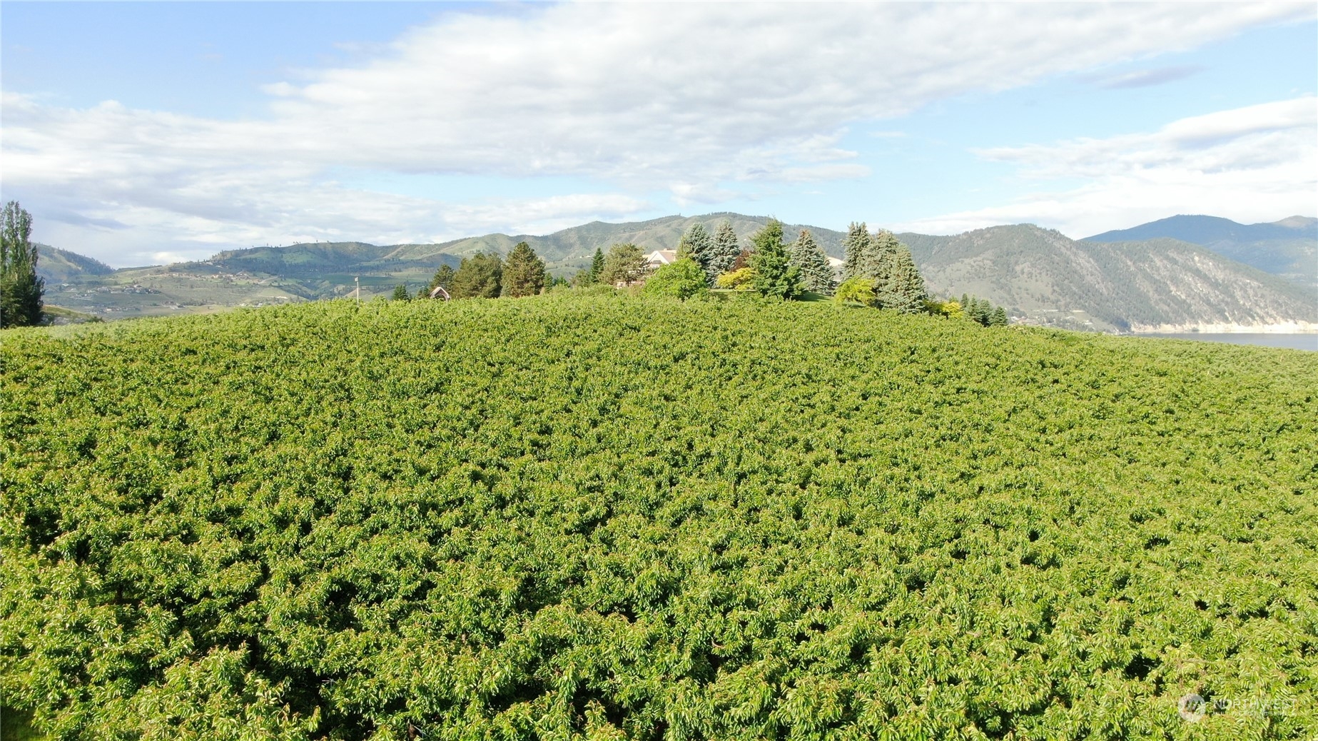 -xxx Veroske Road Manson, WA 98831 - Photo 3 of 7 Gallery Image 3