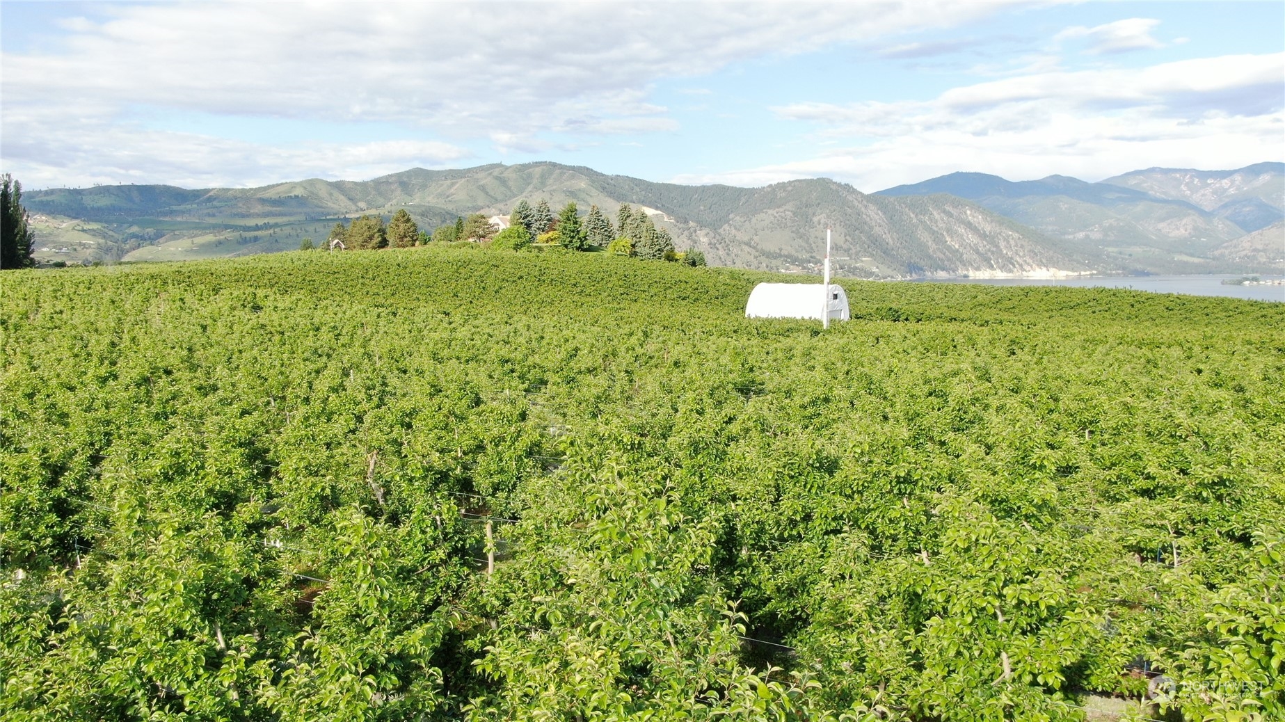 -xxx Veroske Road Manson, WA 98831 - Photo 6 of 7 Gallery Image 6