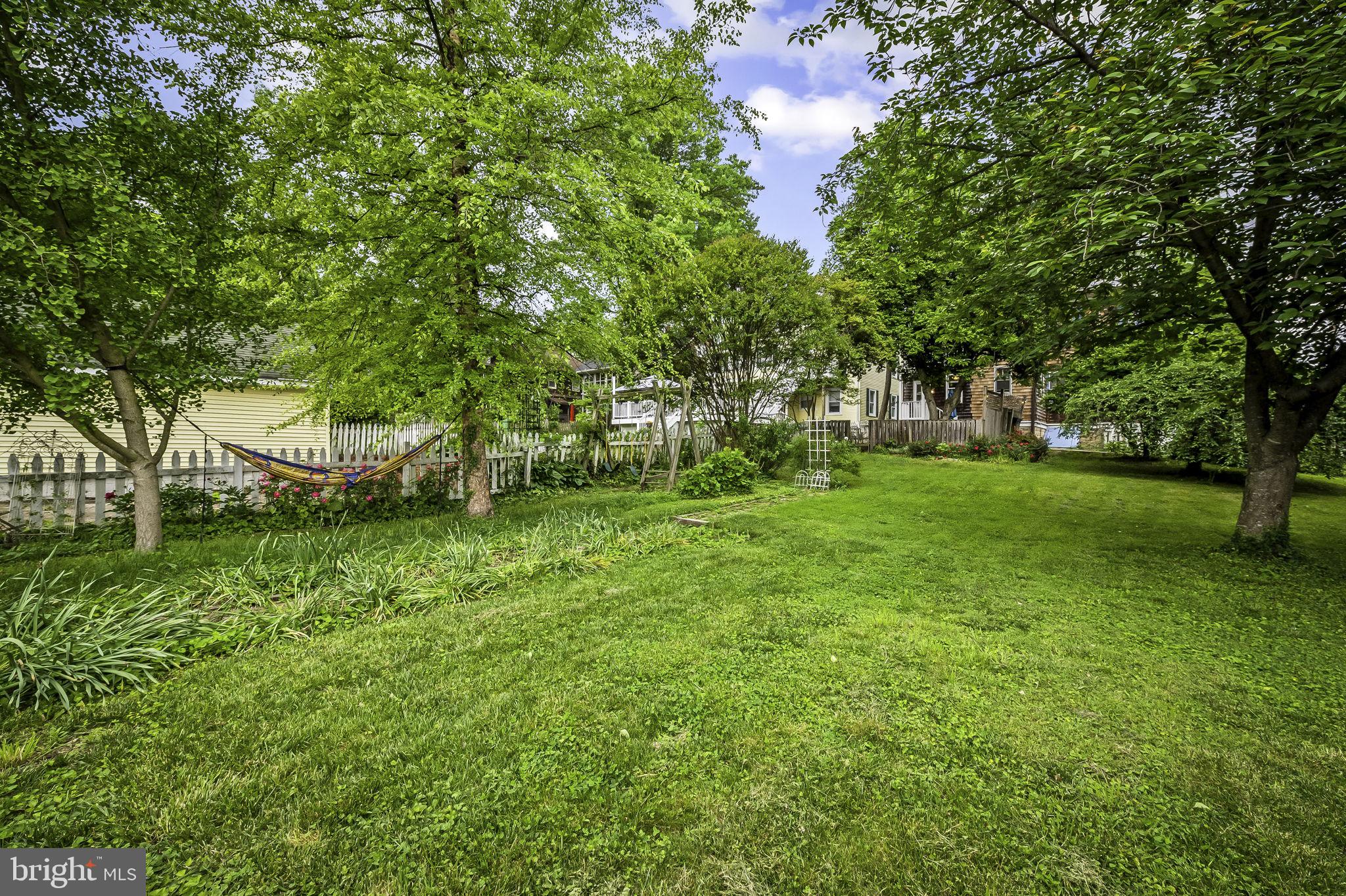 523 Orkney Road Baltimore, MD 21212 - Photo 37 of 40 a view of a tree in a yard