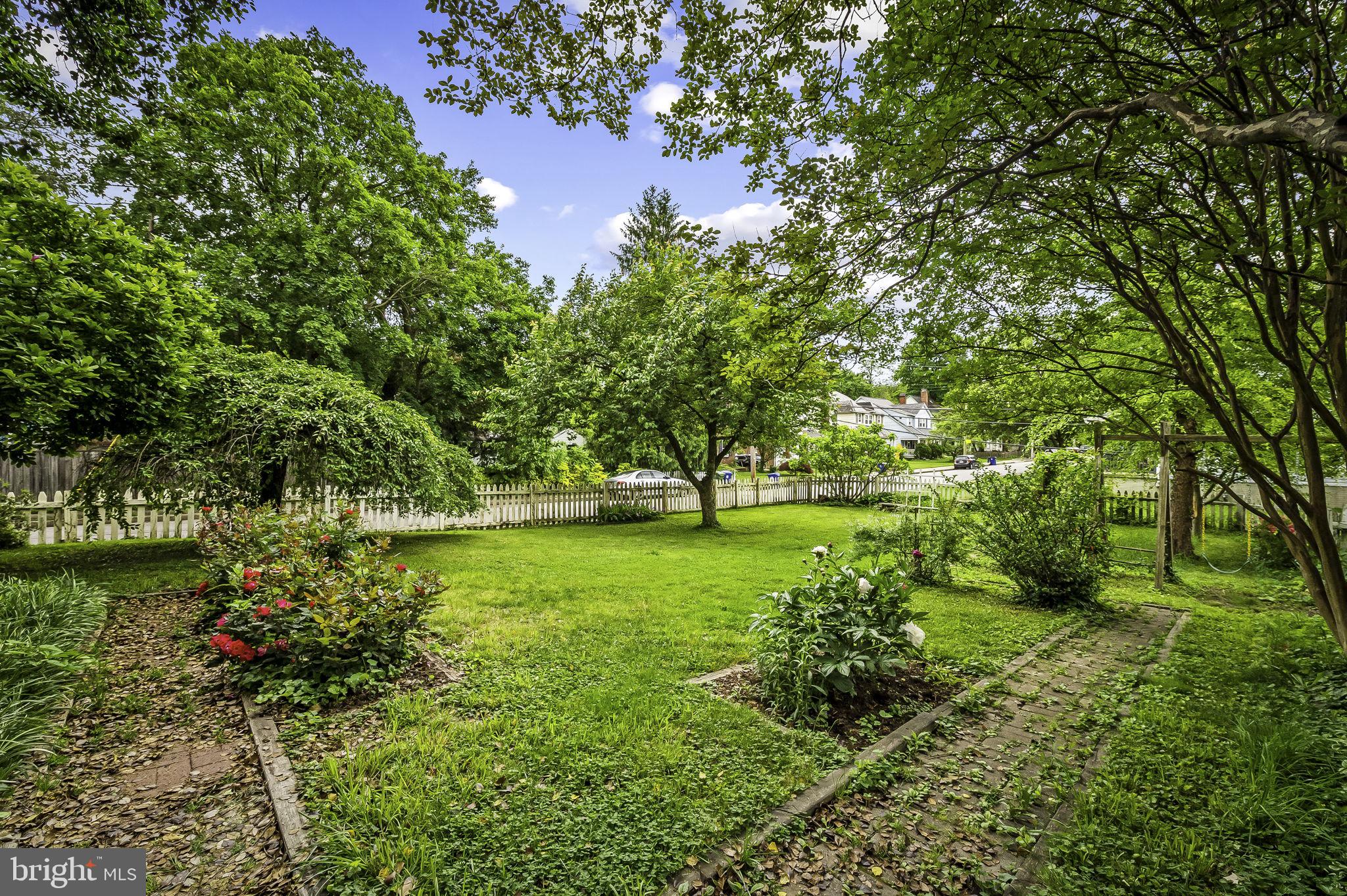 523 Orkney Road Baltimore, MD 21212 - Photo 39 of 40 a view of backyard with large trees