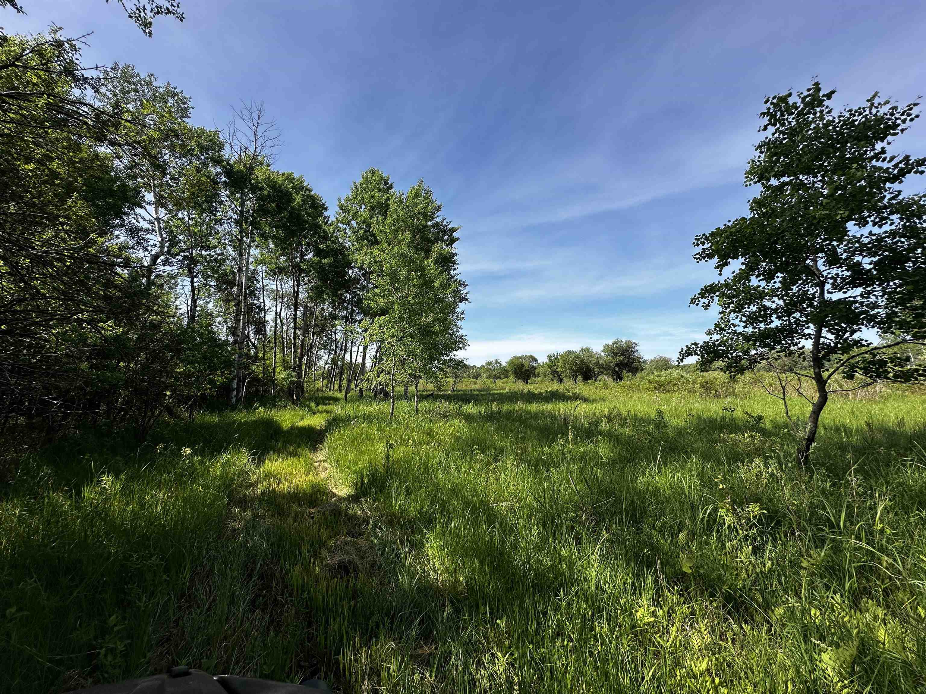 W271 Highway 23 Ripon, WI 54971 - Photo 77 of 88