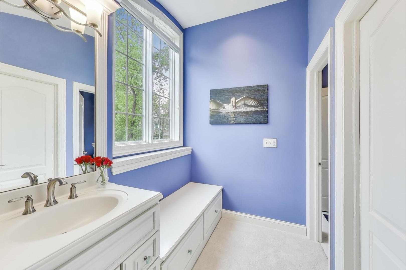 20580 West High Ridge Drive Kildeer, IL 60047 - Photo 34 of 69 a bathroom with a sink and a large mirror